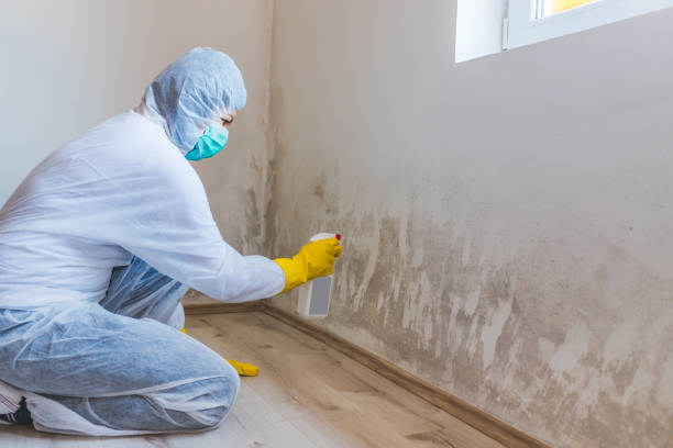 Licensed Crawl Space Mold Removal service in Clifton, VA - WQB Mold Removal