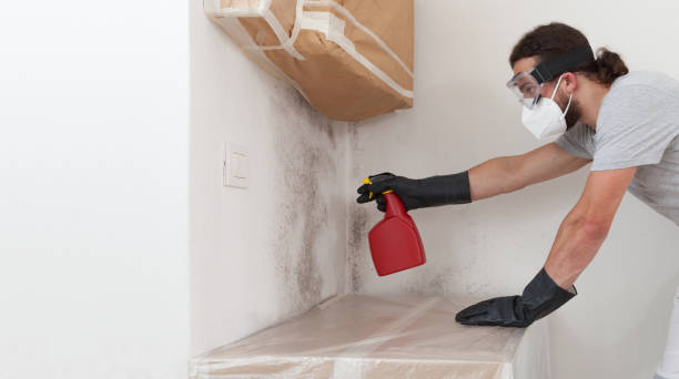 Professional Crawl Space Mold Removal technician working in Clifton, VA