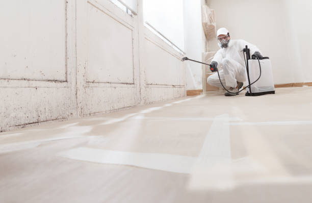 24/7 Emergency Crawl Space Mold Removal experts in Clifton, VA
