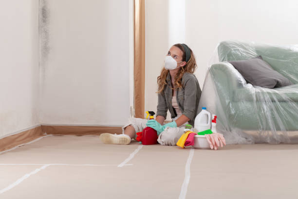 Reliable Crawl Space Mold Removal contractor in Clifton, VA by WQB Mold Removal