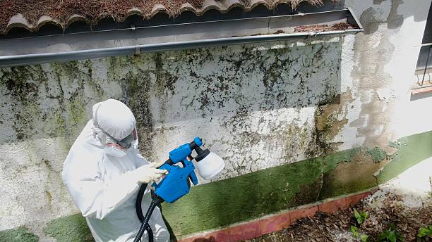 Top rated local Crawl Space Mold Removal specialists in Clifton, VA